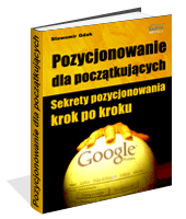 Pozycjonowanie dla początkujących